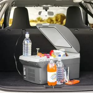 Wagantech Car Refrigerator| 12v
