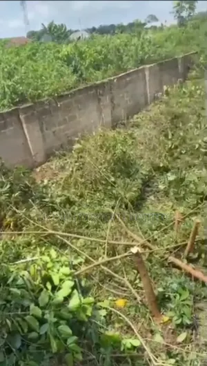 Distressed Sale of 50ft by 100ft Land for Sale at Ugbowo, Benin City