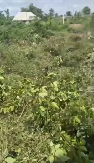 Distressed Sale of 50ft by 100ft Land for Sale at Ugbowo, Benin City