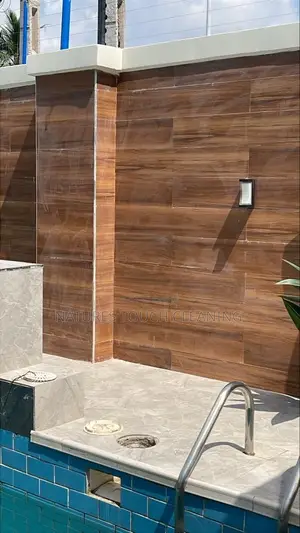 Professional Cleaning Services