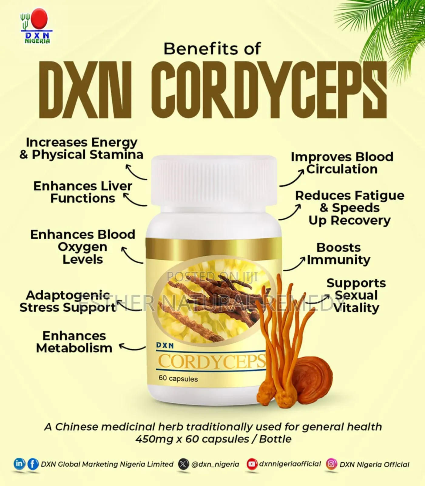 Cordyceps Capsules 60s