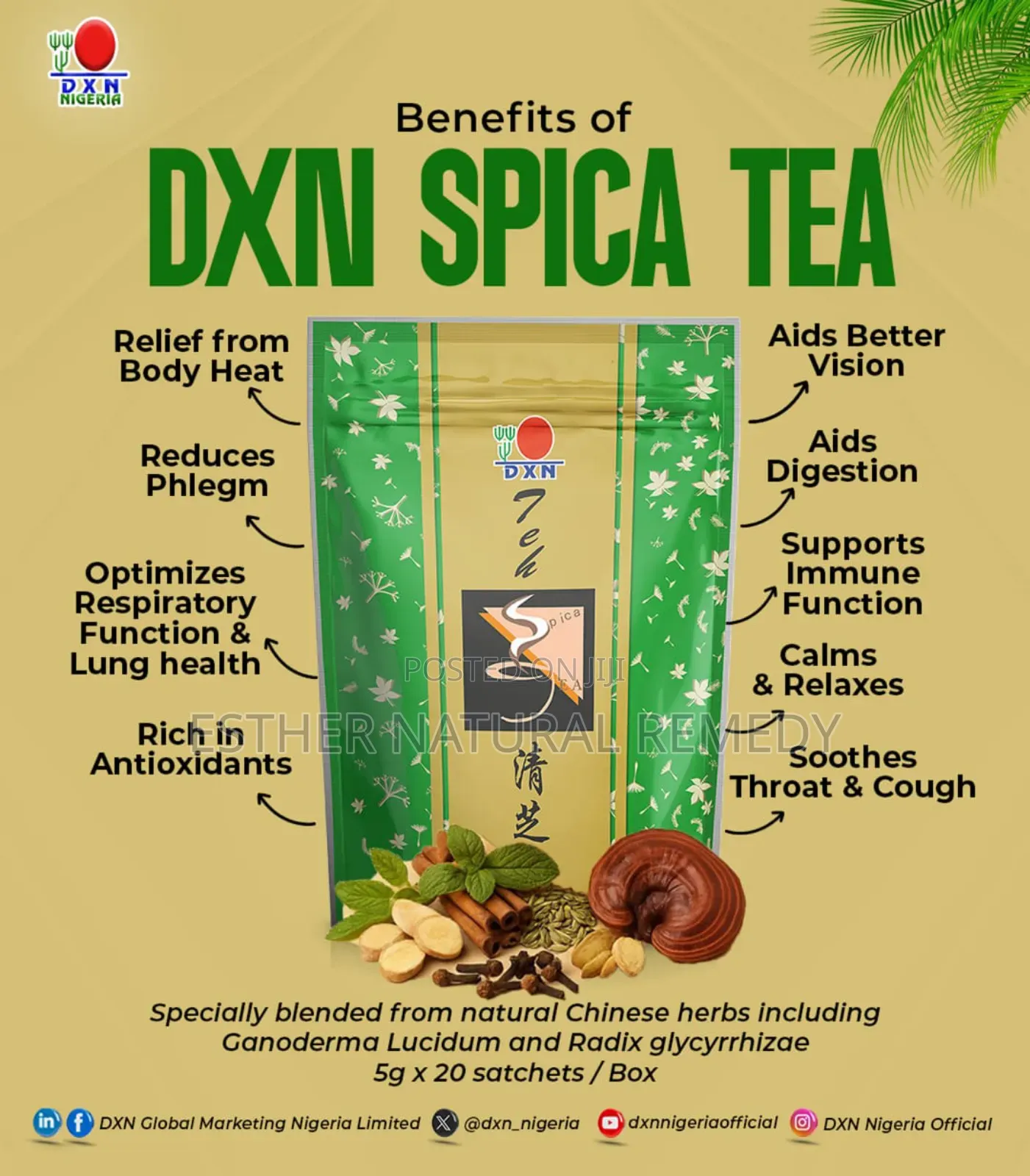 Spica Tea ( Green Tea)