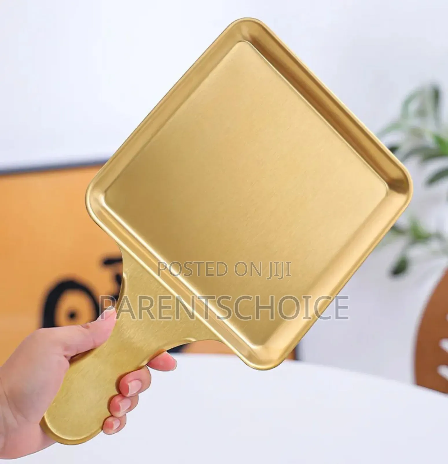 Stainless Steel Plates With Handle