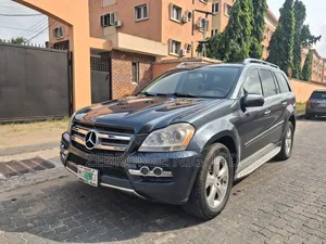 Mercedes-Benz GL-Class GL 450 2010 Gray