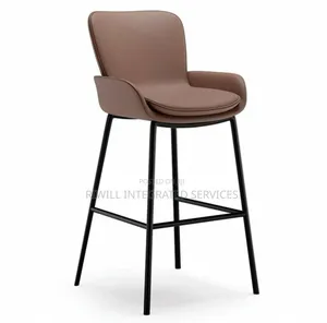Bar Stool for Homes and Gardens