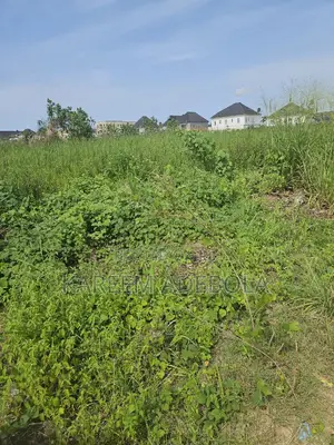Mixed Land at Off Freedom Way Lekki Phase 1 Lagos