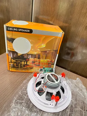 80watts Bluetooth Ceiling Speaker