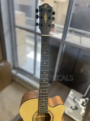 Acoustic Guitar