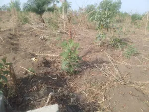 10 Plots of Land for Sales at Kangile, Ilorin,Kwara State.