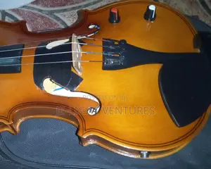 Convert Violin, Box Guitars Drums to Electric (Semi Acoustic)