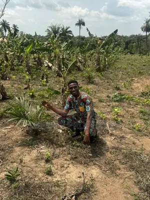 Land in Residential Palm Tree Estate With Yearly Income for Clients