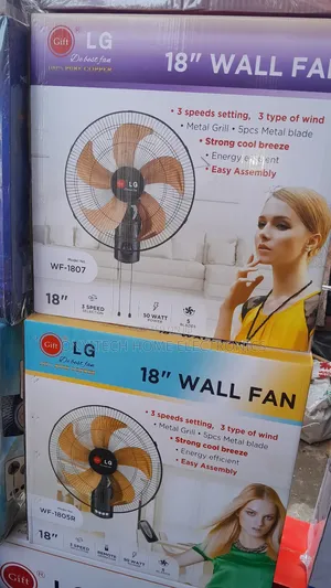 Lg Wallfan