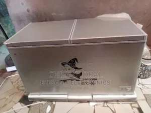 Snowsea Freezer With 2years Warranty and Safe Delivery