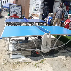 Table Tennis (Outdoor)