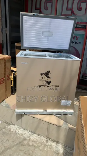Snowsea Freezer With 2years Warranty and Safe Delivery