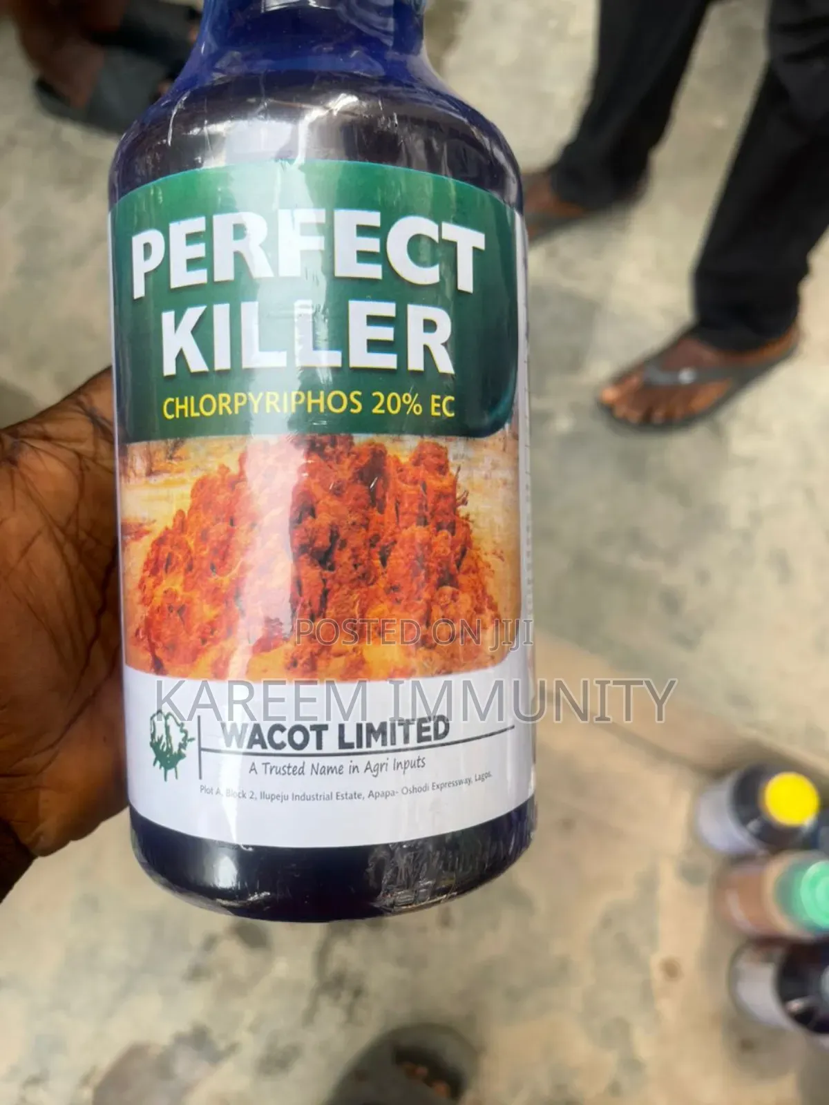 Perfect Killer Chlorpyriphos