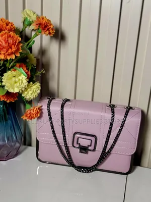 Chain Mini Bag Valentine Gift