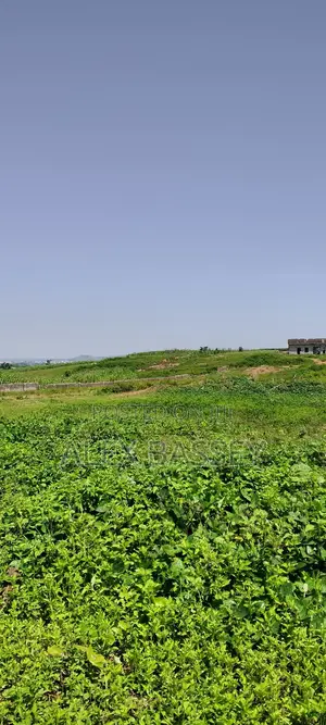 3.5 Hectares