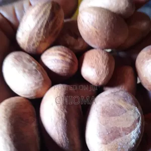 Bitter Kola