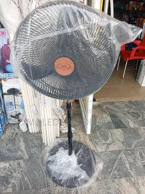 Standing Fan