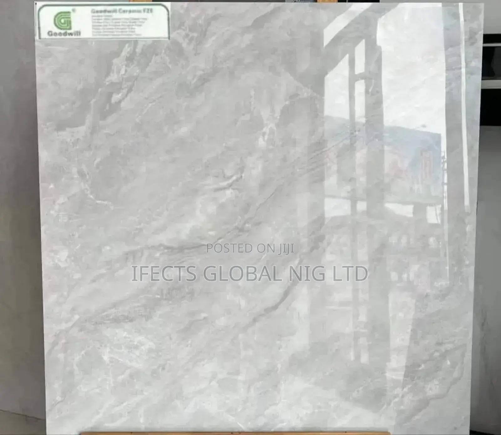 60*60 Super Glossy Tiles