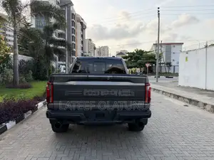 Ford F-150 Raptor 2024 Gray