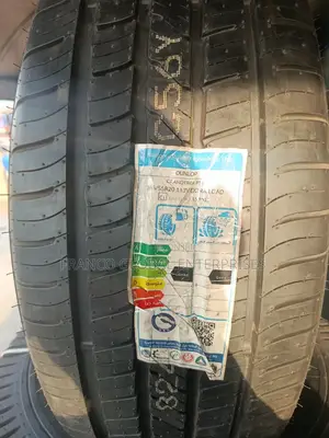 265/55r20 Dunlop Grandtrek Tire