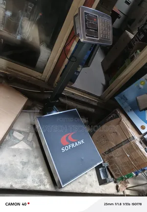 Frank 300kg Digital Platform Scale
