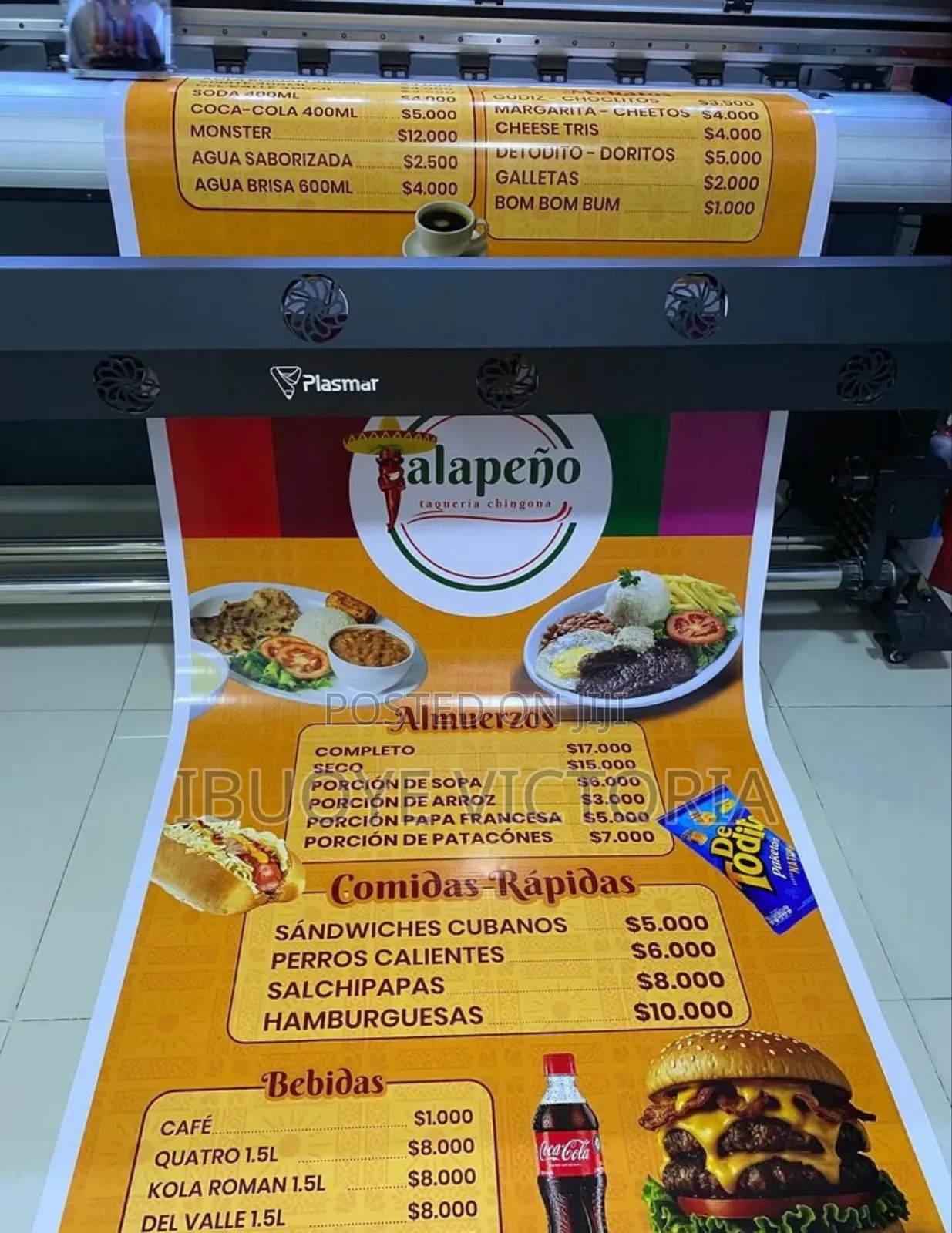 Large Format Printing – Flex Banners, Stickers (Sav) Window Graphics