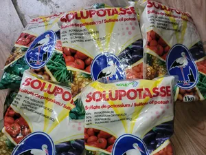 Sop - Sulfate of Potash