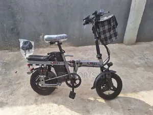 Electric Bike