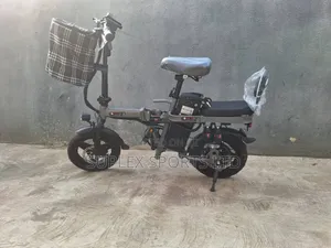Electric Bike