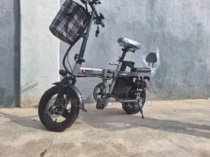 Electric Bike
