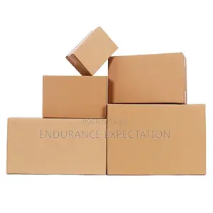 Medium Sizes of Carton