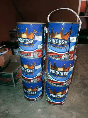 Princess Gloss Paint 4 Liters All Colors