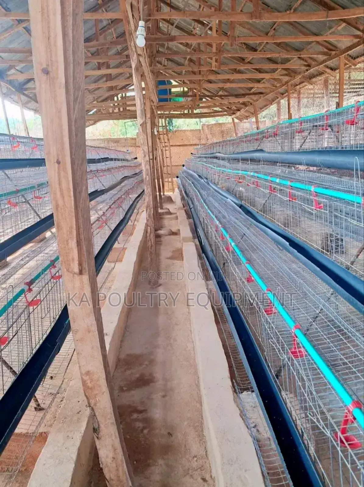 New Battery Cage For Layers