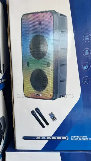Rechargeable Portable Party Box With Double Microphone