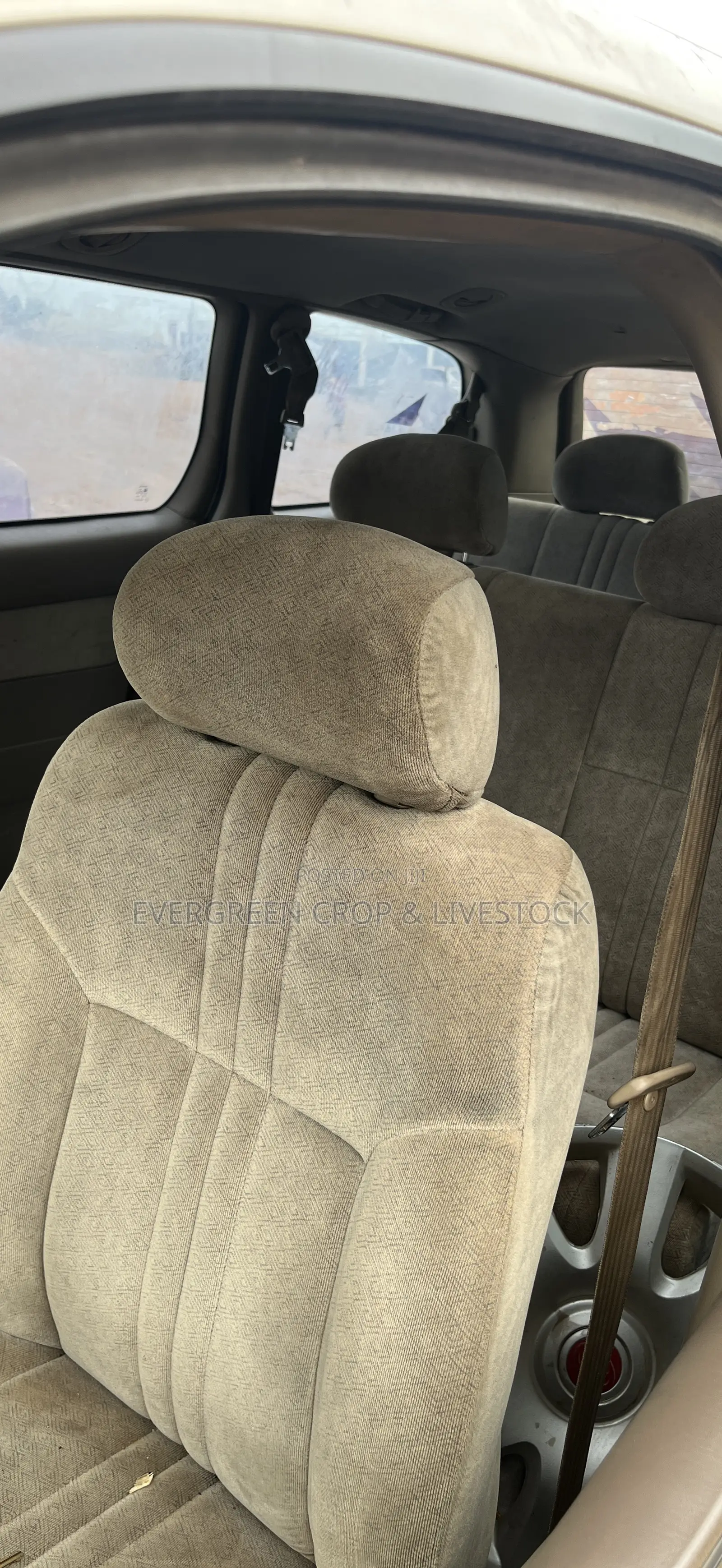 Evergreen Delivery Services