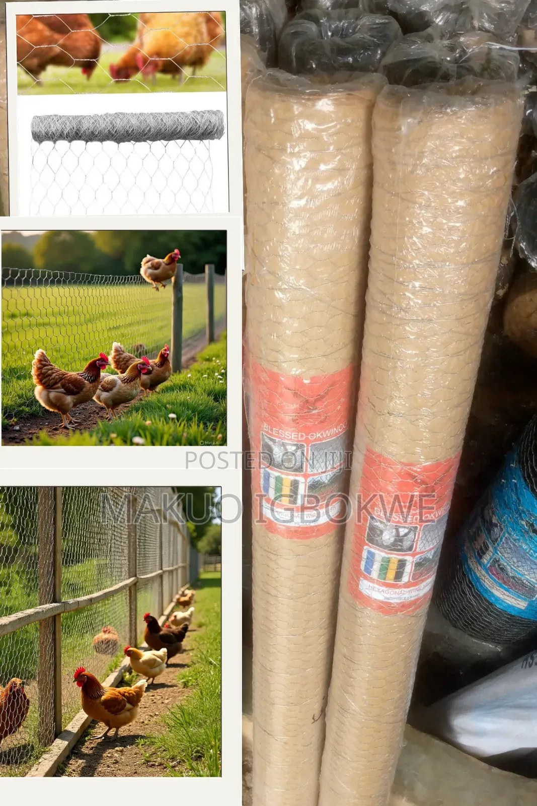 Thick Chicken Wire Mesh for Protecting Poultry Width - 1m Length - 45m