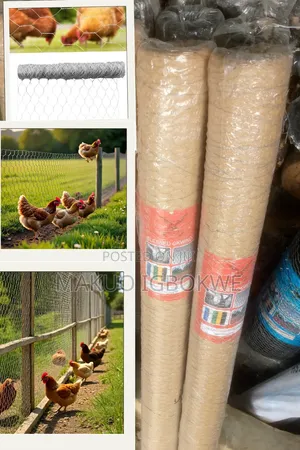 Thick Chicken Wire Mesh for Protecting Poultry Width - 1m Length - 45m