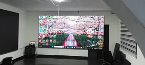 Professional Led Screen Services for Lagos Celebrations