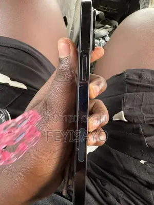 Apple iPhone 12 Pro Max 256 GB Black