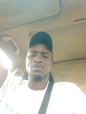 Bolt/Uber Driver