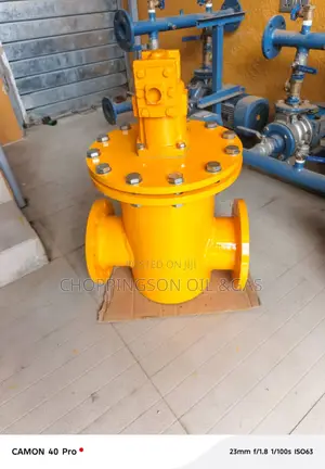 3'' Bucker Strainer, Filter and Air Eliminator