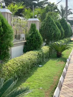 Garden Maintenance
