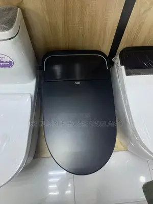Executive Automatic Water Closet Black
