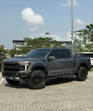 Ford F-150 Raptor 2024 Gray