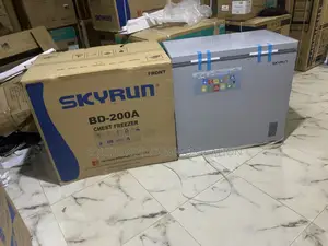Skyrun Bd-200a Compact Large-Capacity Freezer