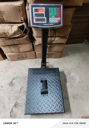 Best 300kg Digital Platform Scale
