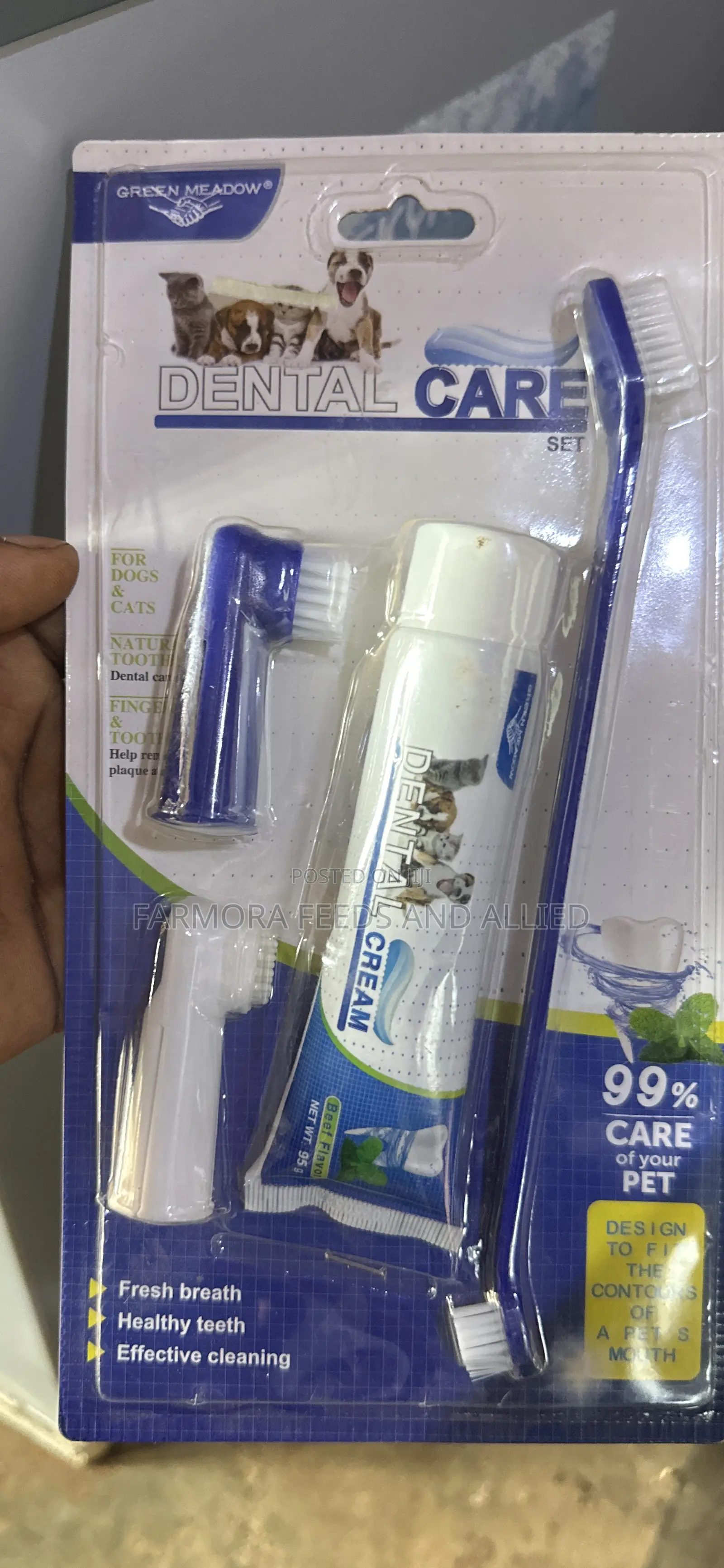 Dental Care